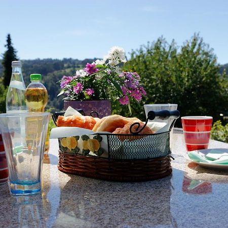 Ferienappartement Donautal 오베른첼 외부 사진